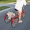 Rogowsen 20 Inch Adult Tricycle Folding Model, Seniors Shopping Cargo Trike, Trike Cruise, With Shopping Basket, for Men Women Seniors #1