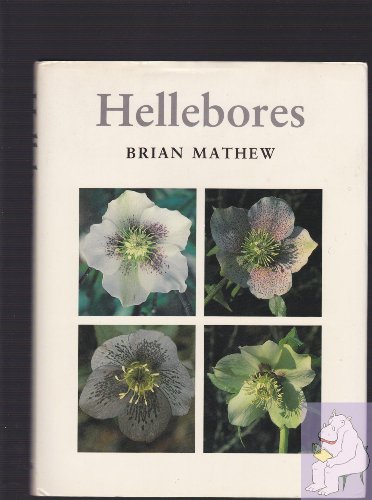  Hellebores