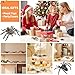THINKBAY 6PCS Spiders Figurines Animal Toys, Prank Toy for Kids, Safari Animal Toys for Toddlers, Educational Preschool Toy Birthday Gift for Boys Girls, and Kids