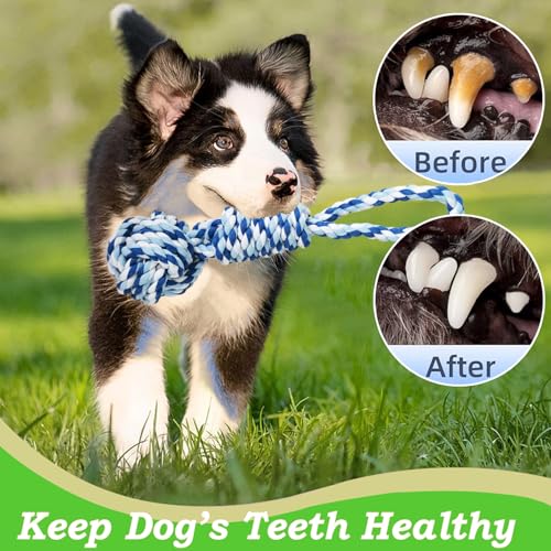 TUAHOO Bungee-Ziehspielzeug für Hunde, Outdoor Hundespielzeug zum Aufhängen mit 2 Kauseilen, Interaktives Tau Spielzeug Hunde Seil für Training Ziehen