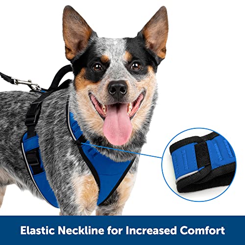 image for PetSafe EasySport Dog Harness, Adjustable Padded Dog Harness with Cont