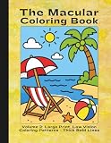 The Macular Coloring Book, Volume 2: Large Print, Low Vision Coloring Patterns - Thick Bold Lines