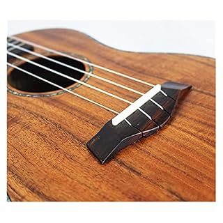 ukulélé Voyage Ukulele Électrique Professionnel 4 Cordes Guitare Hawaïenne - Les Beatles, Paul McCartney, John Lennon, RIngo Starr, George Harrison ukulélé Voyage Ukulele Électrique Professionnel 4 Cordes Guitare Hawaïenne – Image 6