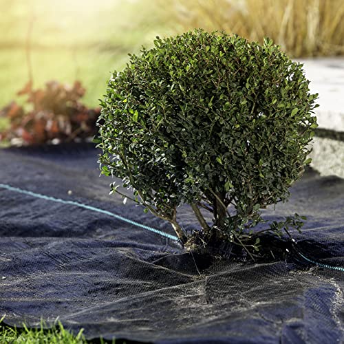 Windhager Unterboden-Gewebe, Anti-Unkrautgewebe, Bändchengewebe, Bodengewebe, wasserdurchlässig, 100 g/m², 10 x 2 m, schwarz