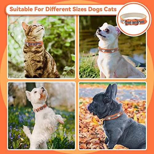 Collar para perros pequeños PETCARE y gatos medianos o grandes ajustable 5