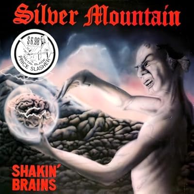 SHAKIN&rsquo; BRAINS