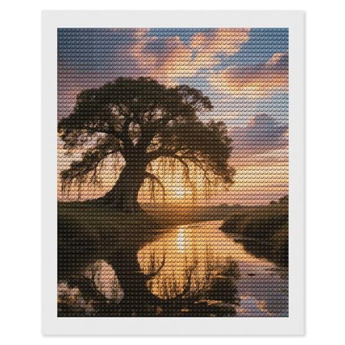 Cadeau débutant peinture diamant 5D maccbn paysage coucher de soleil arbre pour adulte