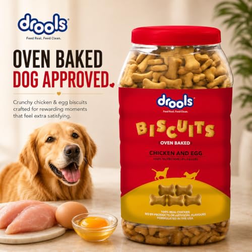 Image of Drools All Life Stages Dog Treat Biscuits 800g Jar | Real Chicken Flavour | All Breed Formula | Promotes Lustrous Skin & Coat | Vitamins & Minerals | Reduces Tartar Build Up