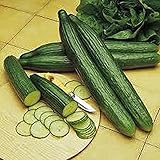 Cucumber, Long Green Improved, Heirloom,200 Seeds, Great for Any Veggie Platter