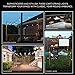 Enbrighten Classic Warm White String Lights, 48ft Black Cord, 24 Shatterproof Acrylic Bulbs, Weatherproof, Outdoor String Lights, 31664