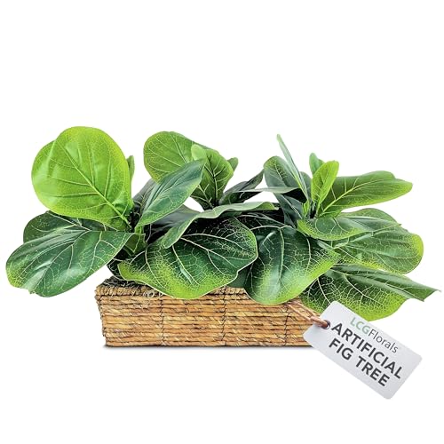 LCG Florals - Higuera artificial de hoja de violín de 15 pulgadas, árbol de piso interior en cesta tejida, planta de casa falsa y decoración del hogar para sala de estar, oficina, cocina o granja