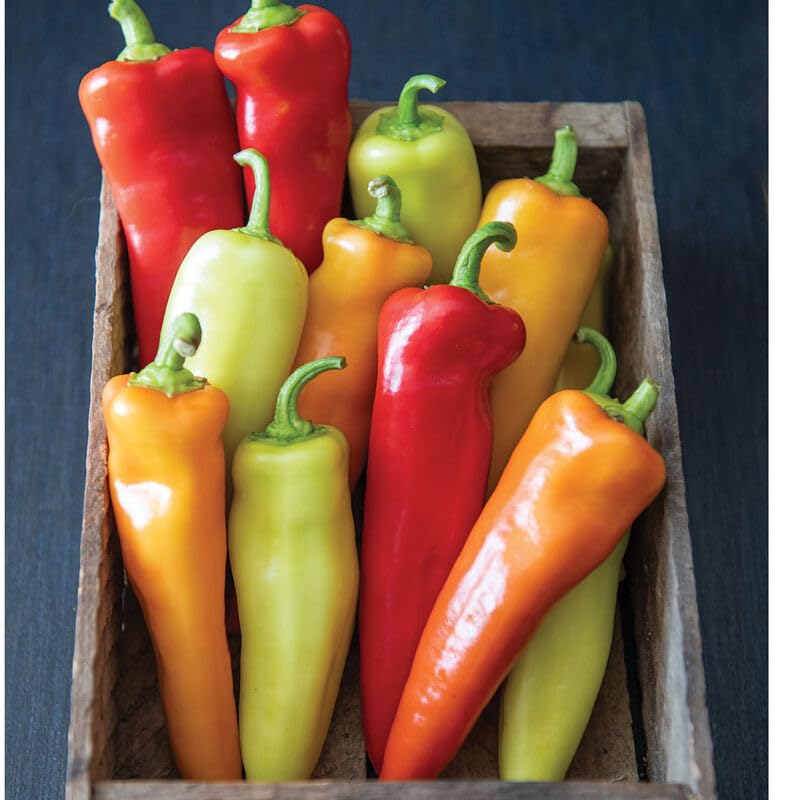 Heirloom Hungarian Wax Pepper Seeds For Kitchen Gardening-(100 Seeds)