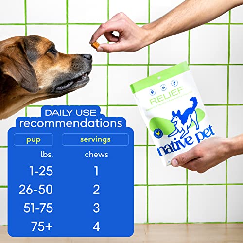 image for Native Pet Relief - Anti Inflammatory for Dogs | Turmeric + Polyphenol