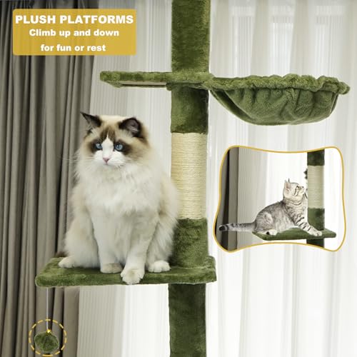 Árvore para gatos do chão ao teto, altura de 5 camadas (241 a 276 cm) - Torre de escalada ajustável