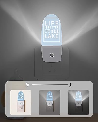 Miniatura 6 de Life is Better at The Lake - Luz nocturna LED enchufable, luz nocturna artística azul y blanca con sensor de atardecer a amanecer, luz nocturna