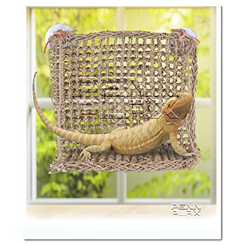 Penn-Plax Reptology Lizard Lounger Sun Lover Basking Platform – 100% Natural Seagrass Fiber – Great For Bearded Dragons, Anoles, Geckos, And Other Reptiles #TOP4
