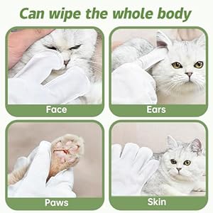   Cleaning-Deodorizing-Wipes-for-Dogs-and-Cats-Pet-Grooming-Gloves-for-Nourishing-Fur-No-Rinse-Bathing-Wipes-for-Daily-Care-and-Traveling-Dog-Washing-Gloves-for-Paws-Fur-and-Butt-10-PCS