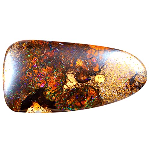 Opale rocheuse multicolore Koroit 25,69 carats cabochon asymétrique