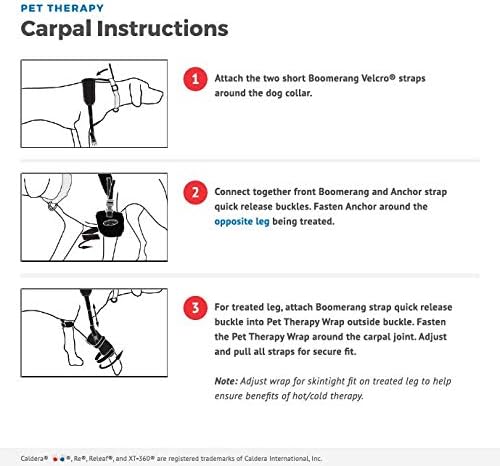 Miniatura 7 de Caldera Pet Therapy - Carpalcodo universal con gel, pequeño, color negro (PET105)