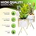 Set of 3 Small Grey Porcelain Pots l Gold Color Strips & Gold Color Metal Stand l Prestige Marble Look For Artificial Cactus ,Flowers, Small Succulents & More l Gift Idea For Home & office