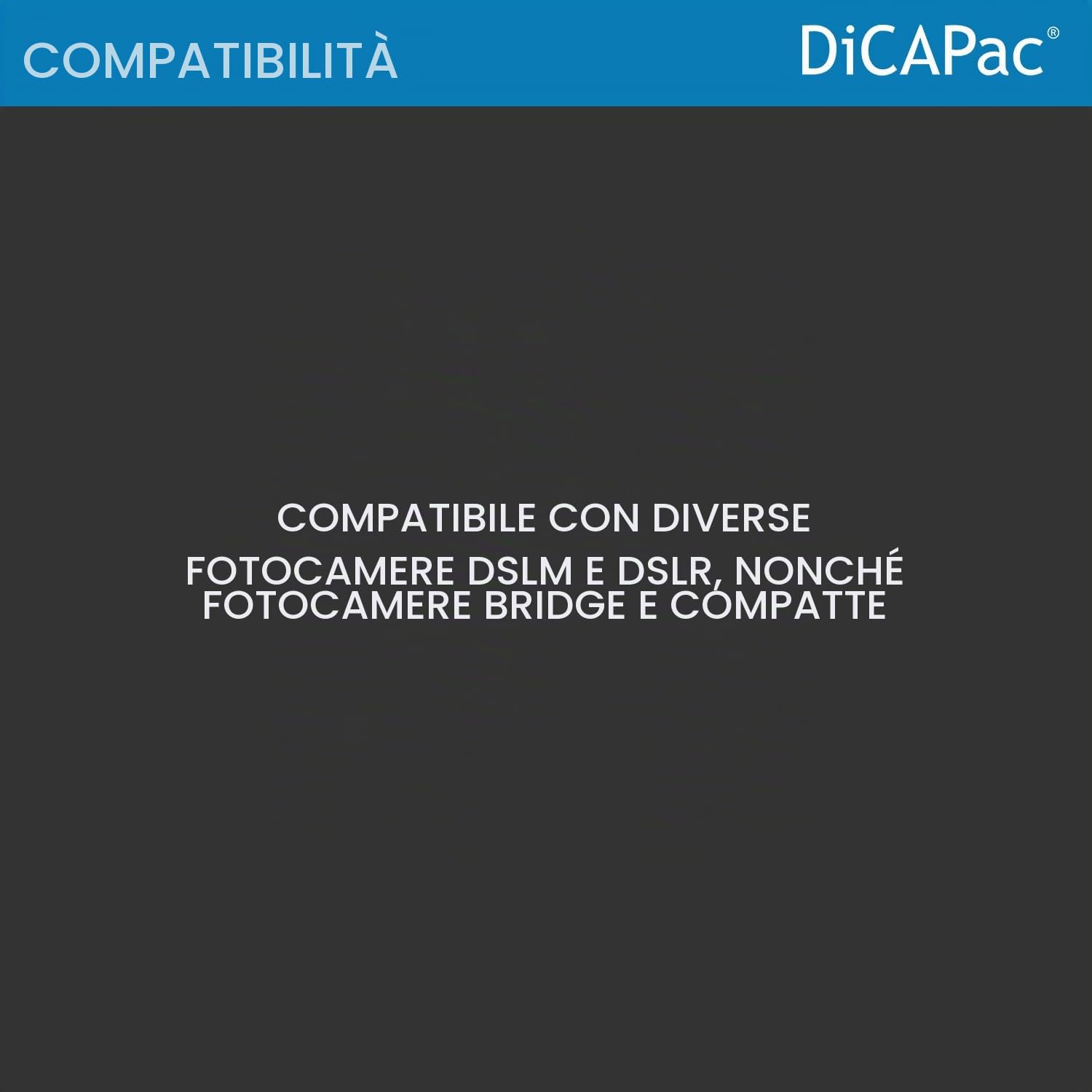 Custodia impermeabile Dicapac WP-S5 per piccola fotocamera DSLR