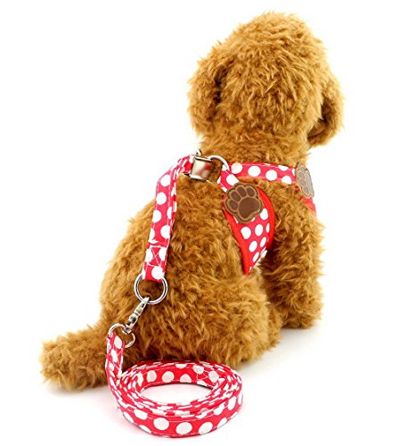 SELMAI Polka Dots Dog Vest Harness Leash Set Paw Patch Mesh Padded No Pull Leads for Small Dog Puppy Cat Red S - Thumbnail 4