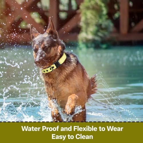 Image of Adil's Biothane Waterproof Dog Collar, Dog Leash & Collar Leash Combo | Heavy Duty TPU Coated Webbing | Adjustable Quick Release Buckle | Odour Resistant (Yellow, M-18, Collar only)