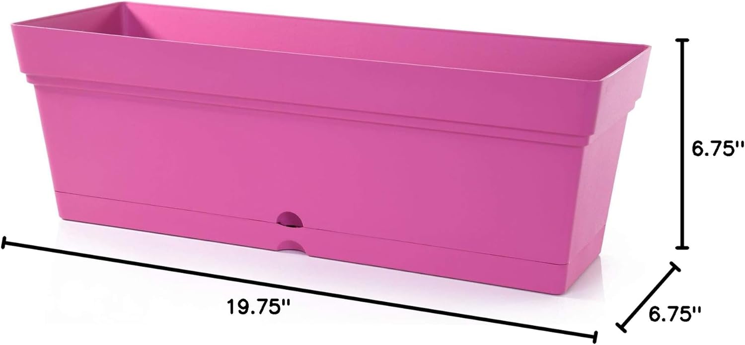 Mintra Window Box Planter, Window Planter Box for Indoor Outdoor Use, Rectangular Pots with Saucers & Drainage Holes, Decorative Plant Pots for Window Sill, Shelf, Desktop, 19" Wx6.75 H, Fuchsia