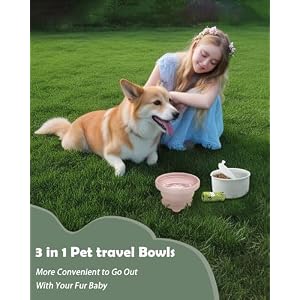 3 in 1 Silicone Collapsible Dog Bowls, Travel Dog Food Container, Dog Poop Bags Holder with Rolls, No Spill Non-Skid Outdoor Dog Water Bowll for Walking, Traveling, Hiking and Camping with Dogs(Pink) 3 in 1 Silicone Collapsible Dog Bowls, Travel Dog Food Container, Dog Poop Bags Holder with Rolls, No Spill Non-Skid Outdoor Dog Water Bowll for Walking, Traveling, Hiking and Camping with Dogs(Pink)