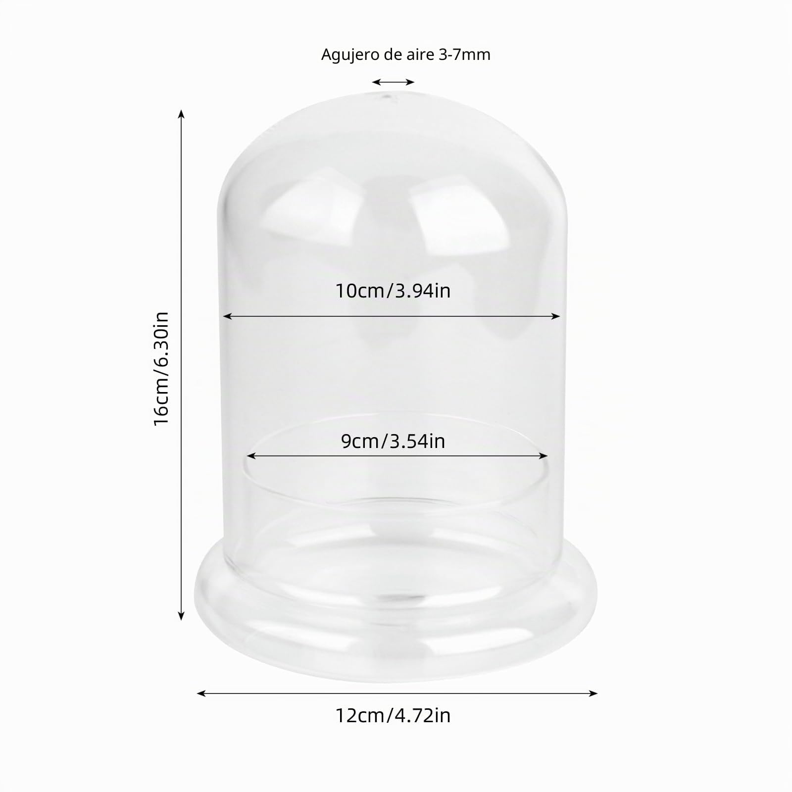 FRUHLING Mini terrario de cristal para plantas suculentas, cúpula de cristal transparente decorativa con agujero de aire, jardín de botellas, bricolaje, para decoración de mesa, regalo (12 x 16 cm