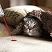GO! Rechargeable Pet Training Exercise Chaser Tool, 3 Mode,Cat Light Toy (2 Packs)
