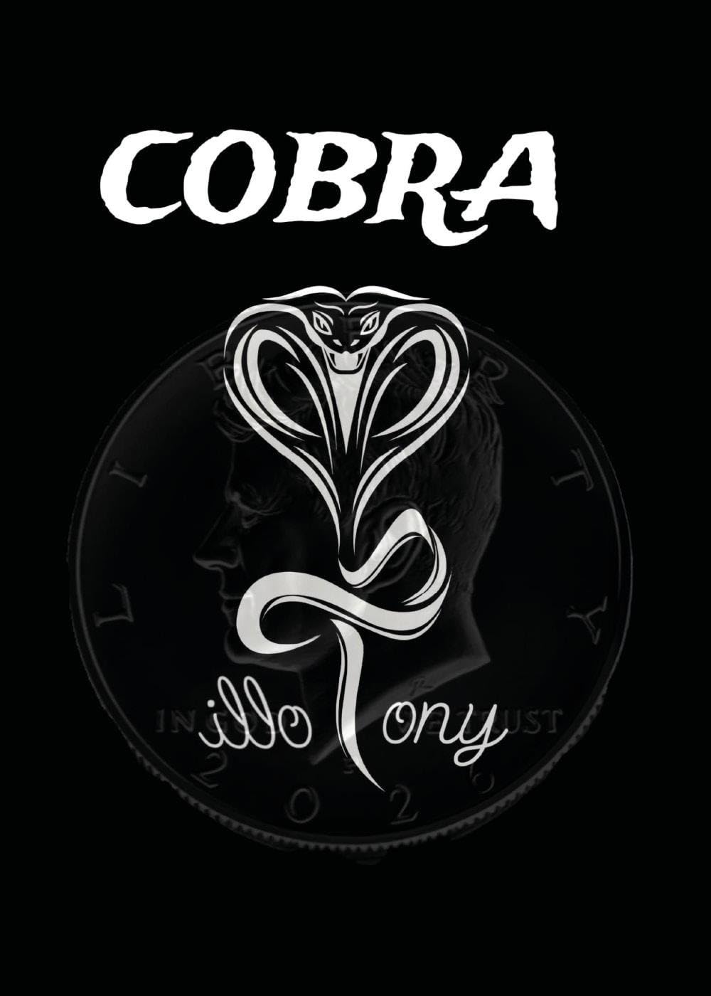 Cobra balai électrique sans sac pour parquet carrelage et tapis de salon