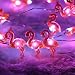 ER CHEN(TM) {Newest} 40 LED Flamingo,10Ft Long Indoor&Outdoor Waterproof Battery Operated Silver Wire String Lights with Remote&Timer