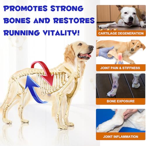 Hüft- und Gelenkergänzungsmittel für Hunde, 180 Tabletten Hunde Gelenkunterstützung & Mobilitätsergänzung, Glucosamin Chondroitin für Hunde mit ausgetrockneter Leber, Dicalciumphosphat und MSM