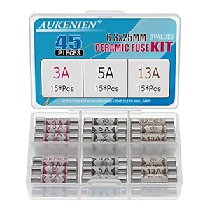 AUKENIEN Fuses Mixed Household UK 3 Values 45pcs 3A 5A 13A Fuse 3 5 13 Amp Fuses Assorted 6.3 x 25MM 0.248×0.984 Inch…
