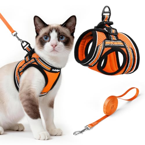 Image of rabbitgoo Cat Harness and Leash Set, Step-in Soft Vest, Orange | Escape Proof, Lightweight, Easy-on & Adjustable, Hook & Loop with Buckle, Reflective, for Small Cats Walks, L