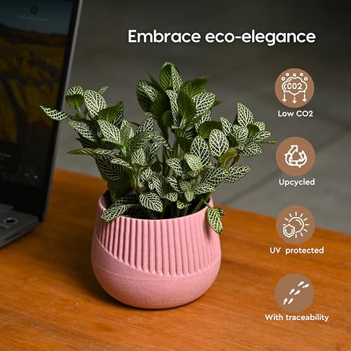 Image of Eha Earth Friendly Oreo 4 inch Small pots for Indoor Plants | Set of 3 | Plant Pot Made with Bamboo Fibers | Table Top Planters for Home Decor and Office, Flower Pot for Living Room | Cele-Inno-Azur