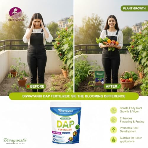 Image of Divayanshi Organic DAP for Plants | Phosphorus-Rich Plant Nutrition for Strong Roots, Faster Growth & Higher Yield | Suitable for Garden, Pots & Farming- 1.5 KG