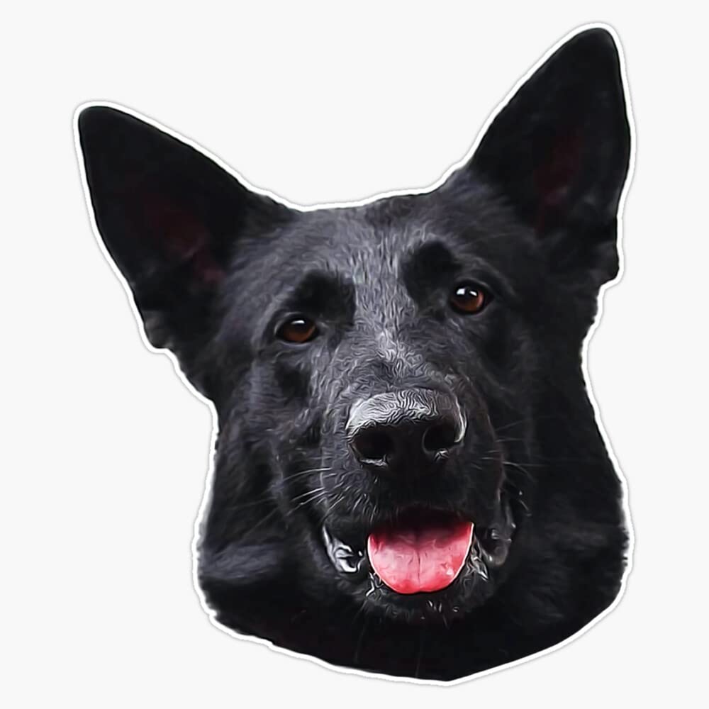 Black German Shepherd Dog - Stunning! Sticker Bumper Sticker Vinyl Decal 5"