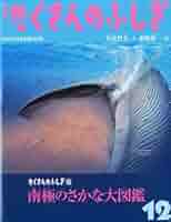 たくさんのふしぎ　２０１５年版　１２冊セット たくさんのふしぎ 2015年版 12冊セット Amazon.co.jp