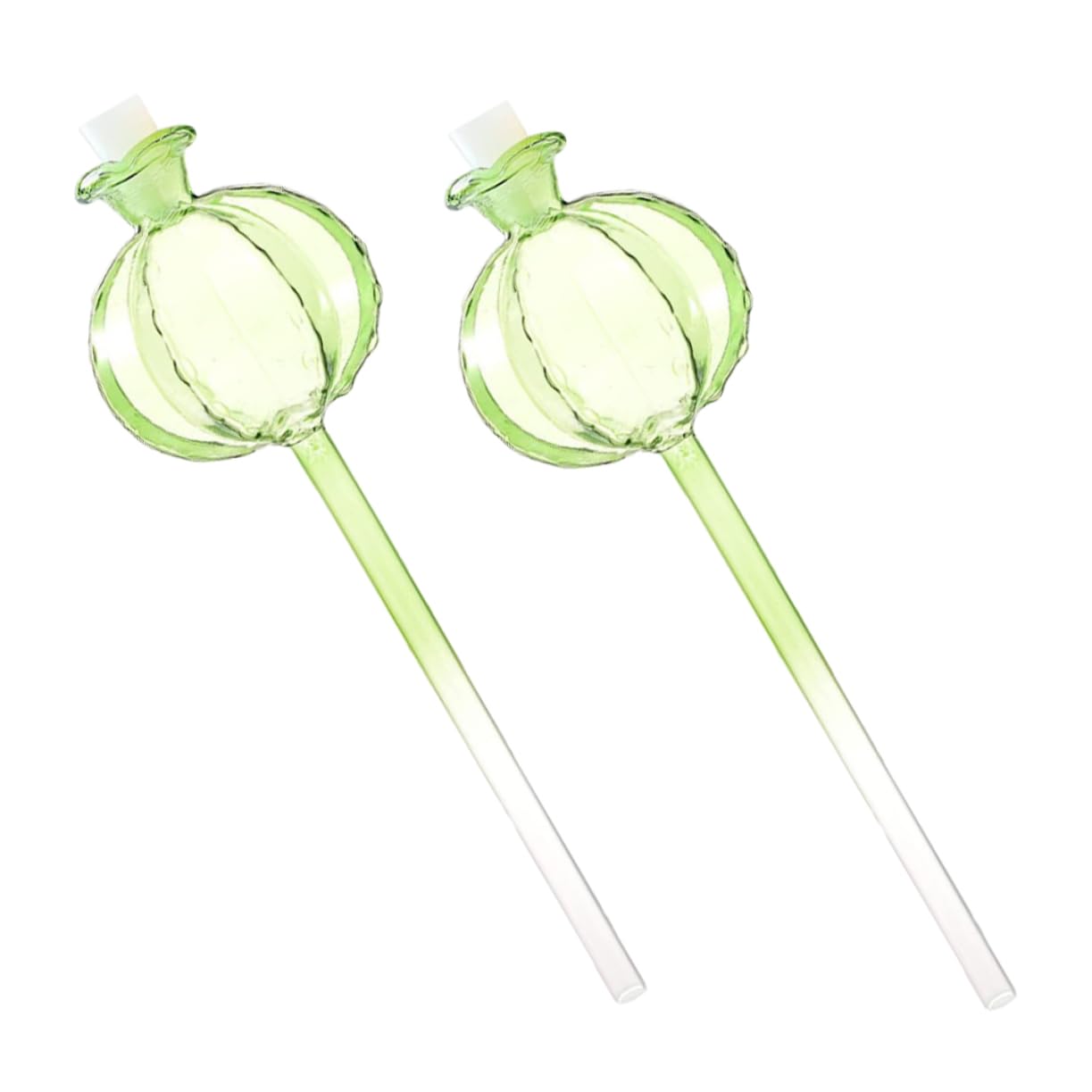 Sosoport 6pièces Globe Arrosage Automatique Verre Transparent pour Plantes Intérieur Et Lot pour Fleurs Et Bonsaïs Facile à Utiliser Observer