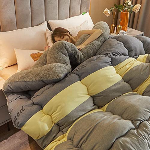 Piumino invernale extra caldo e spesso, in cashmere, per chi soffre di allergie, coperta invernale in morbido agnello, 200 x 230 cm (3,5 kg)