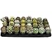 Altman Plants Assorted Live Cactus mini cacti bulk for planters, 2.5", 32 Pack