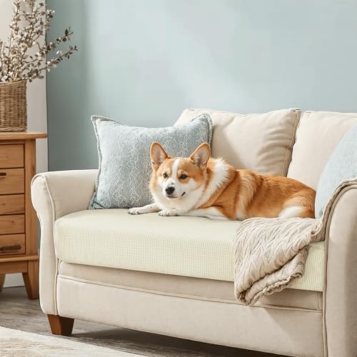 Image of Chunyi Jacquard Polyester Spandex Cushion Slipcover (Loveseat Cushion, Ivory White)