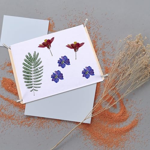 Presse-fleurs professionnel en bois rigide et fixations en métal - 6