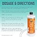 Lo-Chlor Leak Sealer - No Need to Drain Pool Water, Easily Fix a Leak Pool Leak Sealer - Hot Tub Leak Sealer Works in 24 Hours to Fix a Leak Spa and Hot Tub, Fast Acting Pool Leak Repair (32oz)