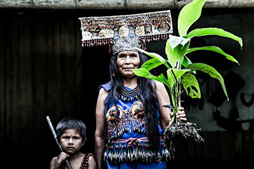 Witjai. Il gene verde della razza umana