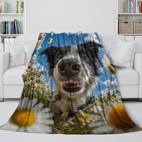 Couverture Border Collie en flanelle 100x130 cm pour lit et canapé