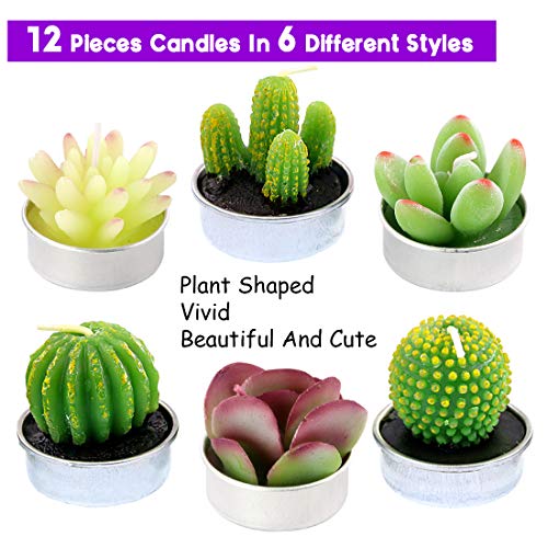 Swpeet 12Pcs Decorative Succulent Cactus Tealight Candles Kit, Cute Smokeless Succulent Plants Perfect For Candles Festival Wedding Props And House-Warming Party (N0.7-Candle) #TOP2