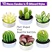 Swpeet 12Pcs Decorative Succulent Cactus Tealight Candles Kit, Cute Smokeless Succulent Plants Perfect for Candles Festival Wedding Props and House-Warming Party (N0.7-Candle)